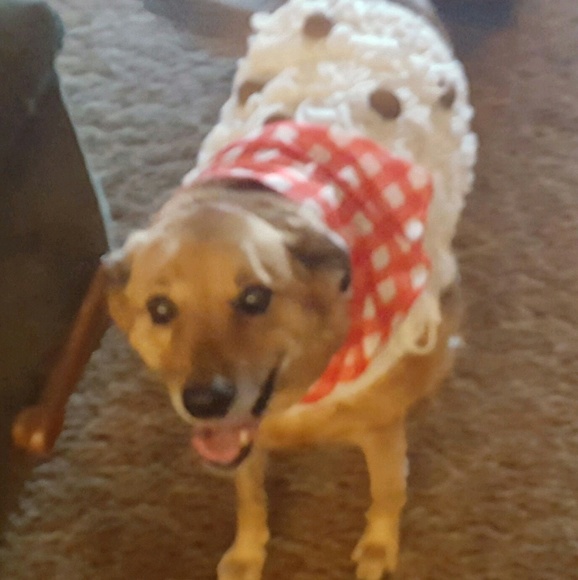 Meet your Posher, Jackie - Picture 1 of 1